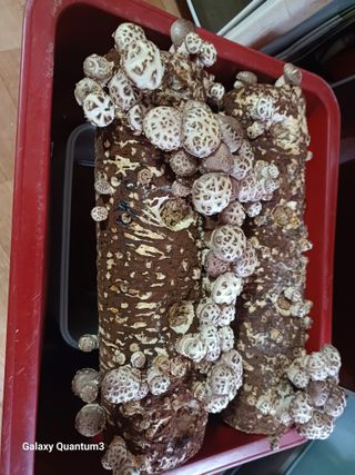 이창우님의 자유주제 · 자유게시판 작성글 사진