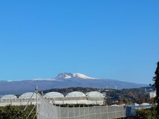 호호농장님의 귤 · 일상 작성글 사진