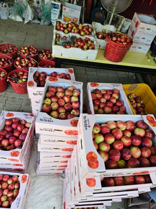 배성은365님의 👍올해 나의 최고 자랑은? · 참여글 작성글 사진