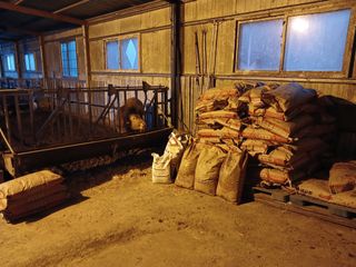 알 수 없음님의 자유주제 · 자유게시판 작성글 사진