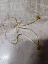 팜모닝 자유주제·자유게시판 게시글 이미지