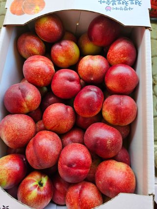 배성은365님의 👍올해 나의 최고 자랑은? · 참여글 작성글 사진