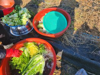 스마일00님의 👍올해 나의 최고 자랑은? · 참여글 작성글 사진