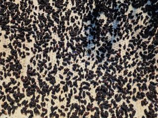 천안 병천 어성초 님의 👍올해 나의 최고 자랑은? · 참여글 작성글 사진