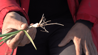 누보농장님의 자유주제 · 자유게시판 작성글 사진