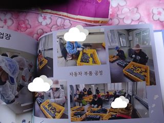 알 수 없음님의 자유주제 · 자유게시판 작성글 사진