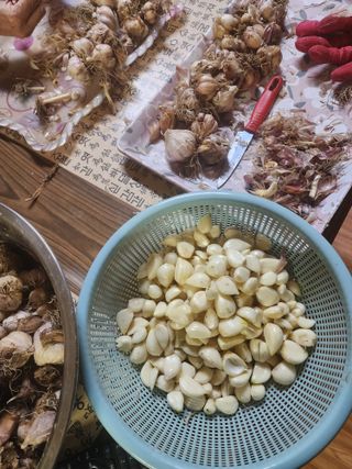 천안 병천 어성초 님의 👍올해 나의 최고 자랑은? · 참여글 작성글 사진