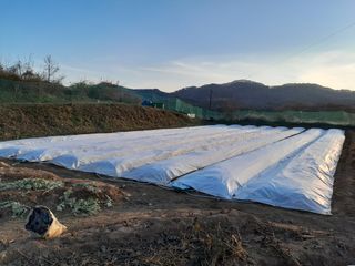 솜리아재님의 👍올해 나의 최고 자랑은? · 참여글 작성글 사진