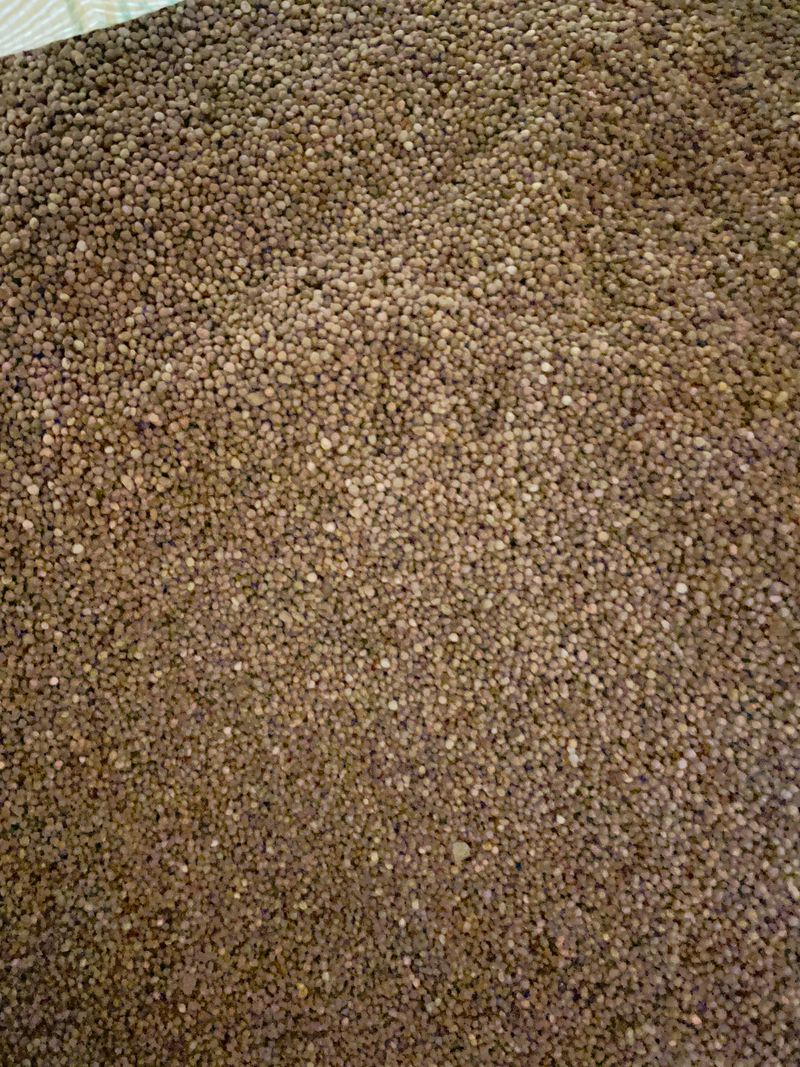 장터 상품 [들깨40k] 썸네일