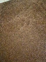 팜모닝 · 게시글 이미지