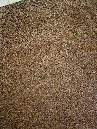 정연희님의 작성글 사진