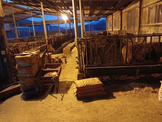 알 수 없음님의 자유주제 · 자유게시판 작성글 사진