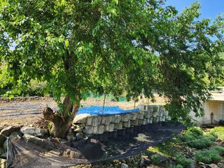 천안 병천 어성초 님의 👍올해 나의 최고 자랑은? · 참여글 작성글 사진