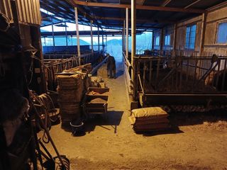 알 수 없음님의 자유주제 · 자유게시판 작성글 사진