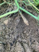 팜모닝 👍올해 나의 최고 자랑은?·참여글 게시글 이미지