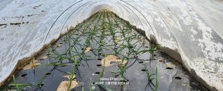 이균행님의 👍올해 나의 최고 자랑은? · 참여글 작성글 사진