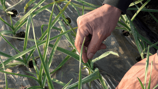 누보농장님의 자유주제 · 자유게시판 작성글 사진