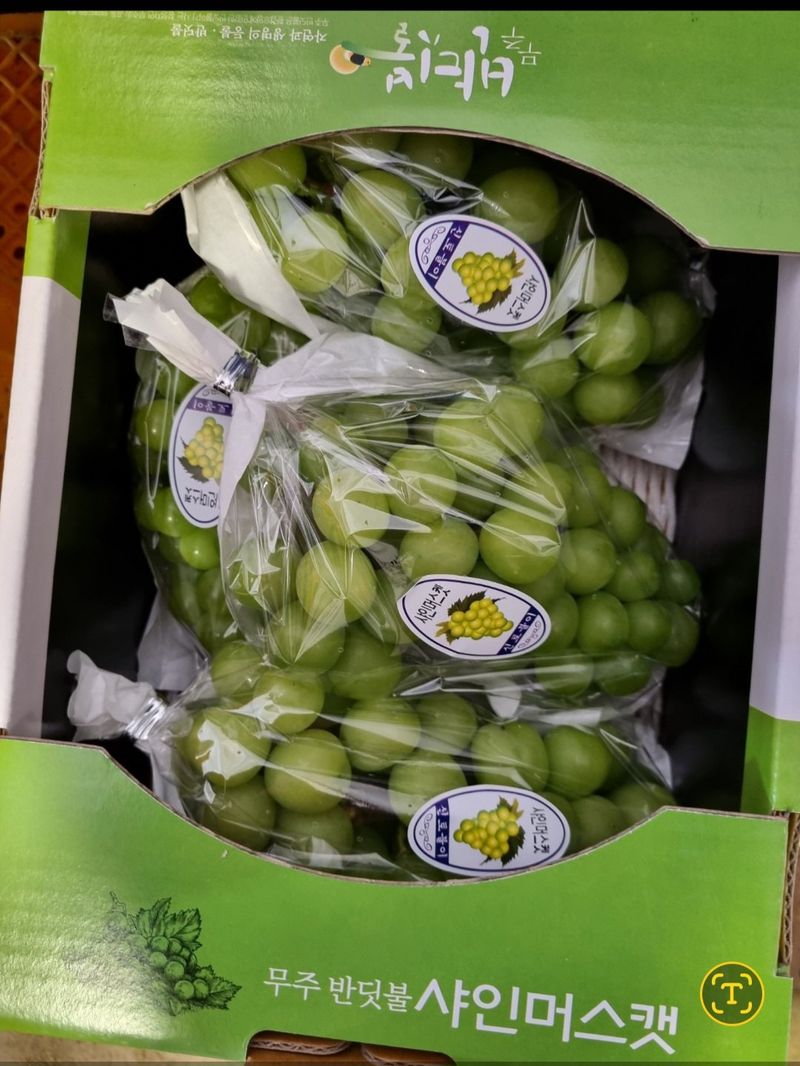 김선미님의 장터 판매 상품 [샤인머스켓 4kg] 첨부 사진