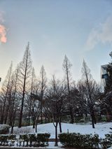 팜모닝 연말인사 같이해요💕·참여글 게시글 이미지