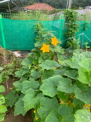 선우갑님의 👍올해 나의 최고 자랑은? · 참여글 작성글 사진