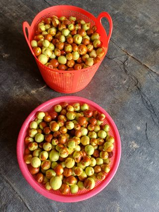 이기란님의 👍올해 나의 최고 자랑은? · 참여글 작성글 사진