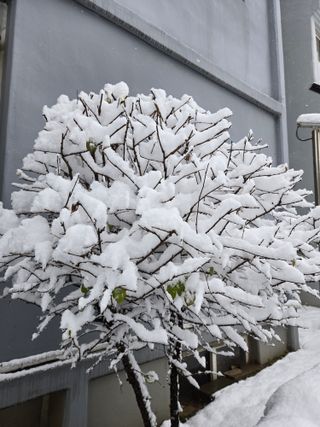 천지창조님의 연말인사 같이해요💕 · 참여글 작성글 사진