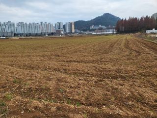 김태영농기계님의 👍올해 나의 최고 자랑은? · 참여글 작성글 사진