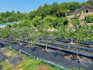 김재열님의 연말인사 같이해요💕 · 참여글 작성글 사진