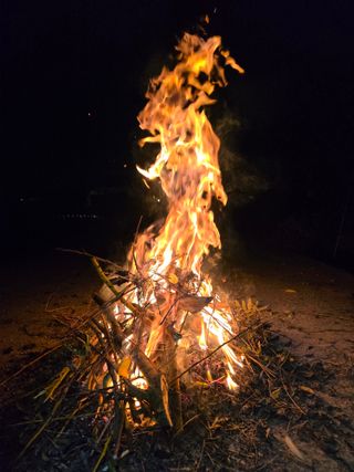 진촌다육묘목농원님의 연말인사 같이해요💕 · 참여글 작성글 사진