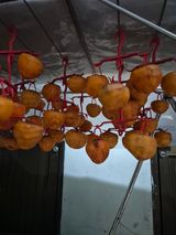 팜모닝 연말인사 같이해요💕·참여글 게시글 이미지