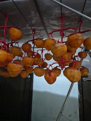 꽃사랑님의 연말인사 같이해요💕 · 참여글 작성글 사진