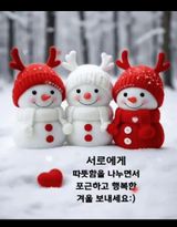 팜모닝 자유주제·자유게시판 게시글 이미지