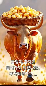 팜모닝 자유주제·자유게시판 게시글 이미지