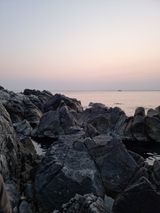 팜모닝 연말인사 같이해요💕·참여글 게시글 이미지