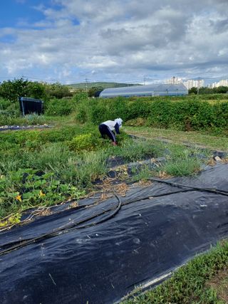 이기란님의 👍올해 나의 최고 자랑은? · 참여글 작성글 사진