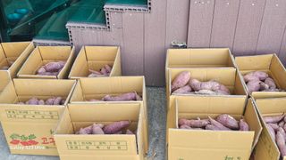 임일재님의 👍올해 나의 최고 자랑은? · 참여글 작성글 사진