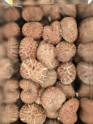 인더숲 님의 👍올해 나의 최고 자랑은? · 참여글 작성글 사진