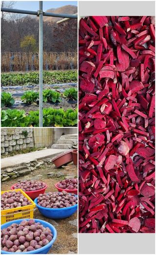 천안 병천 어성초 님의 👍올해 나의 최고 자랑은? · 참여글 작성글 사진