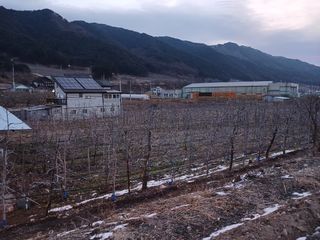 알 수 없음님의 자유주제 · 자유게시판 작성글 사진