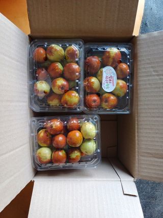 이기란님의 👍올해 나의 최고 자랑은? · 참여글 작성글 사진