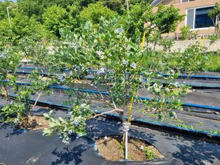 김재열님의 연말인사 같이해요💕 · 참여글 작성글 사진