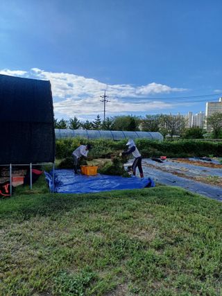 이기란님의 👍올해 나의 최고 자랑은? · 참여글 작성글 사진