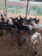 팜모닝 자유주제·자유게시판 게시글 이미지