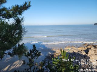 최대한님의 👍올해 나의 최고 자랑은? · 참여글 작성글 사진