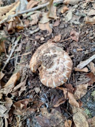 조재덕님의 👍올해 나의 최고 자랑은? · 참여글 작성글 사진