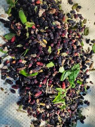 천안 병천 어성초 님의 👍올해 나의 최고 자랑은? · 참여글 작성글 사진