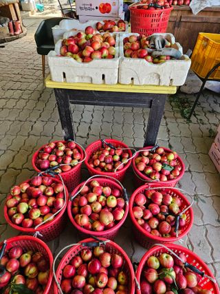 배성은365님의 👍올해 나의 최고 자랑은? · 참여글 작성글 사진