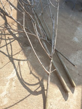 논산푸른팜님의 자유주제 · 자유게시판 작성글 사진