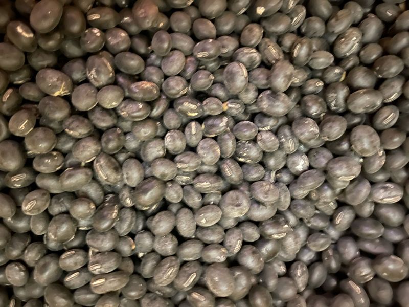 정연희님의 장터 판매 상품 [새바람80k] 첨부 사진