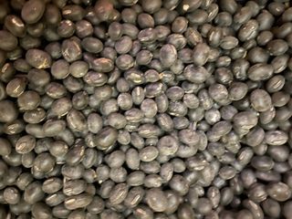 정연희님의 작성글 사진